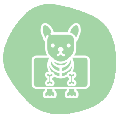  dog x ray icon