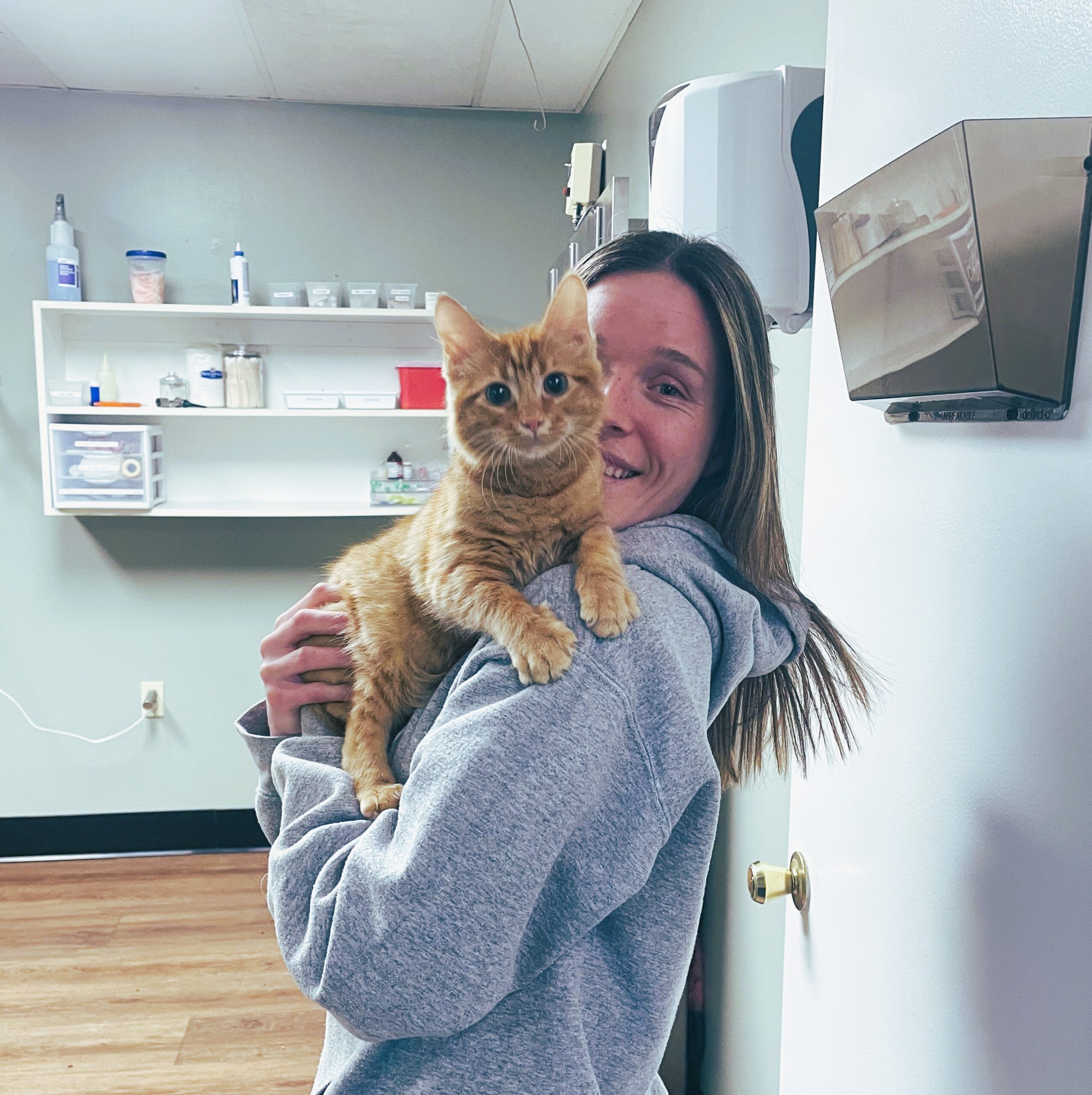 vet holding dog