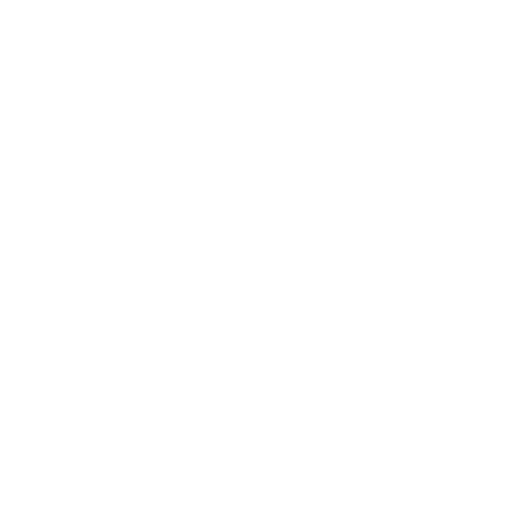 cat in a cone icon