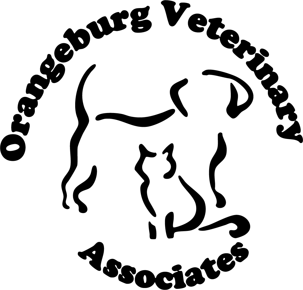 Orangeburg Veterinary Associates Logo